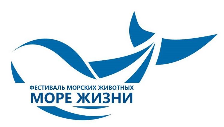 Отказаться от использования пластика призывают организаторы фестиваля «Море жизни» в Петропавловске-Камчатском
