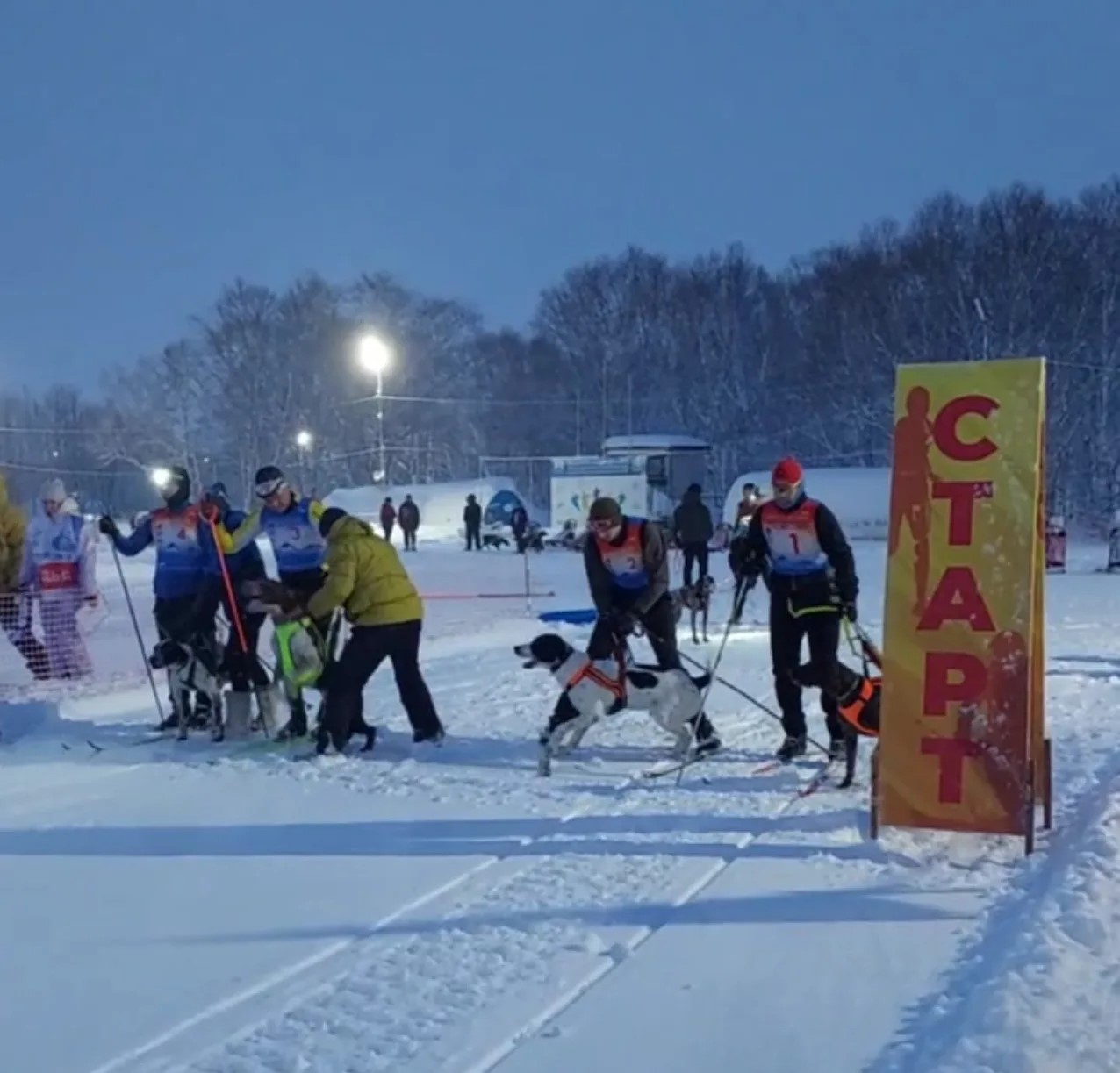 Соревнования по ездовому спорту в рамках фестиваля «Снежный путь» Соревнования по ездовому спорту в рамках фестиваля «Снежный путь»