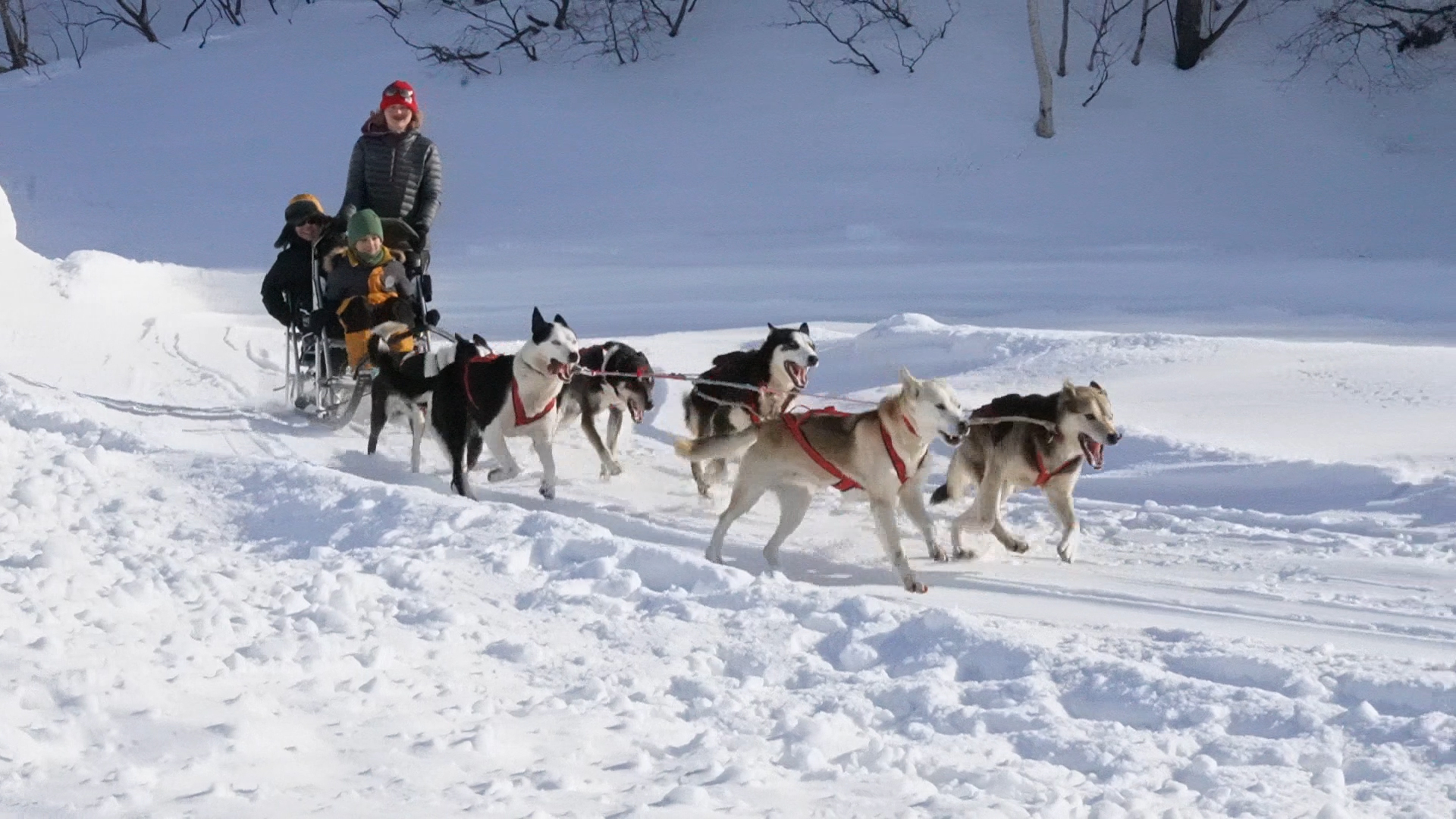 Глава города Евгений Беляев: Ярко, динамично, с характером – так можно сказать о праздничном Дне защитника Отечества и фестивале «Снежный путь – на драйве города!» Глава города Евгений Беляев: Ярко, динамично, с характером – так можно сказать о праздничном Дне защитника Отечества и фестивале «Снежный путь – на драйве города!»