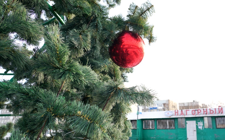 В микрорайонах Петропавловска-Камчатского устанавливают новогодние елки