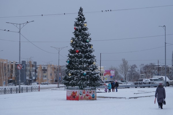 Открытие новогодних елок в Петропавловске-Камчатском уже завтра!