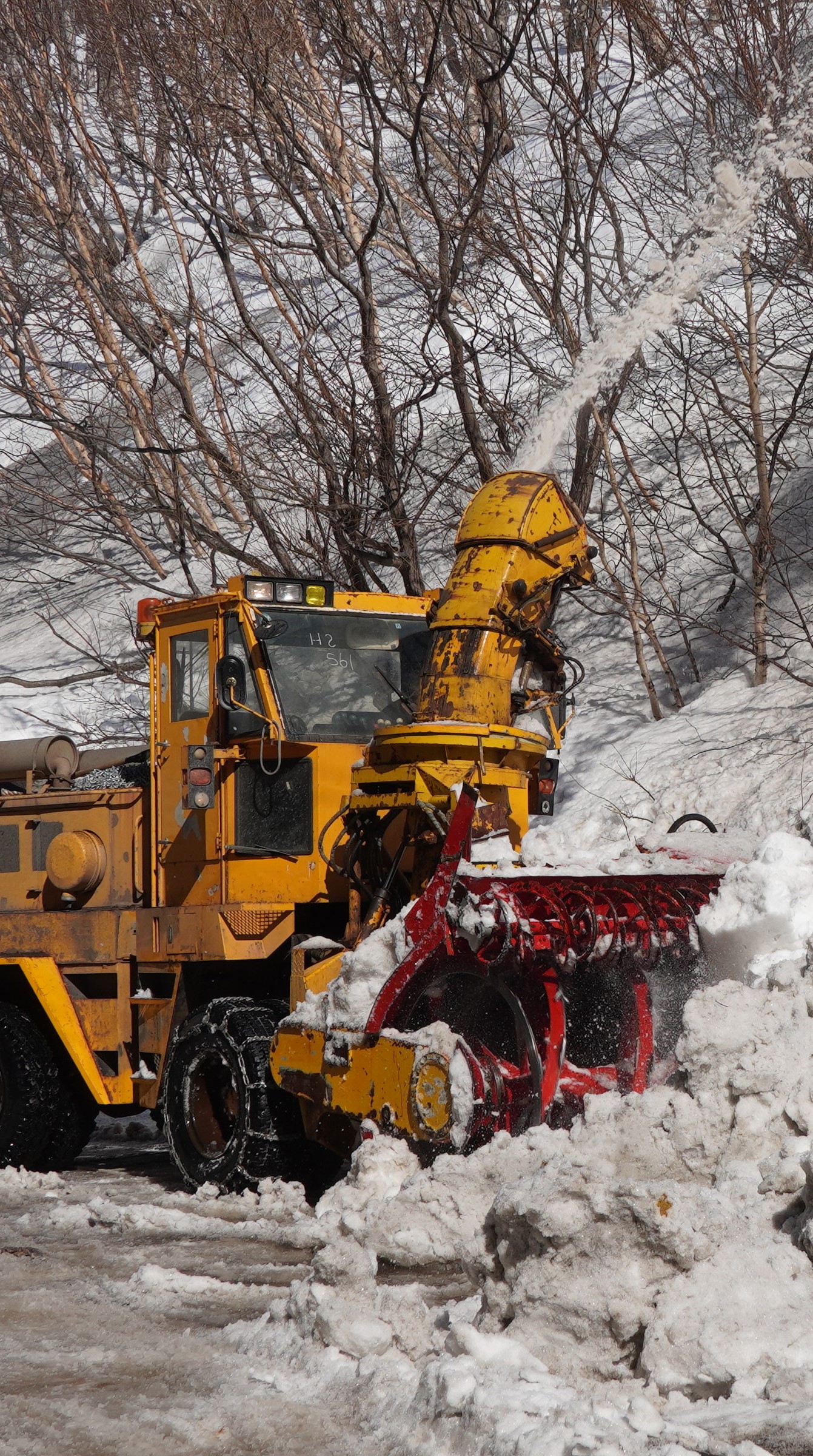 24 марта 2026 года