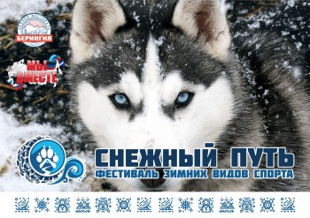 Доехать до места проведения фестиваля «Снежный путь» можно будет на шаттлах