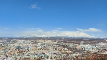 Информация о выходах медведей в Петропавловске-Камчатском