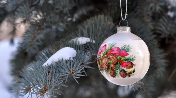 Мероприятия, посвященные празднованию Нового 2020 года, пройдут в Петропавловске-Камчатском