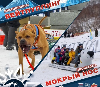 Вейтпуллинг в программе фестиваля «Снежный путь»