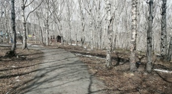 Жители Петропавловска-Камчатского выбрали дополнительную территорию для благоустройства в 2021 году 