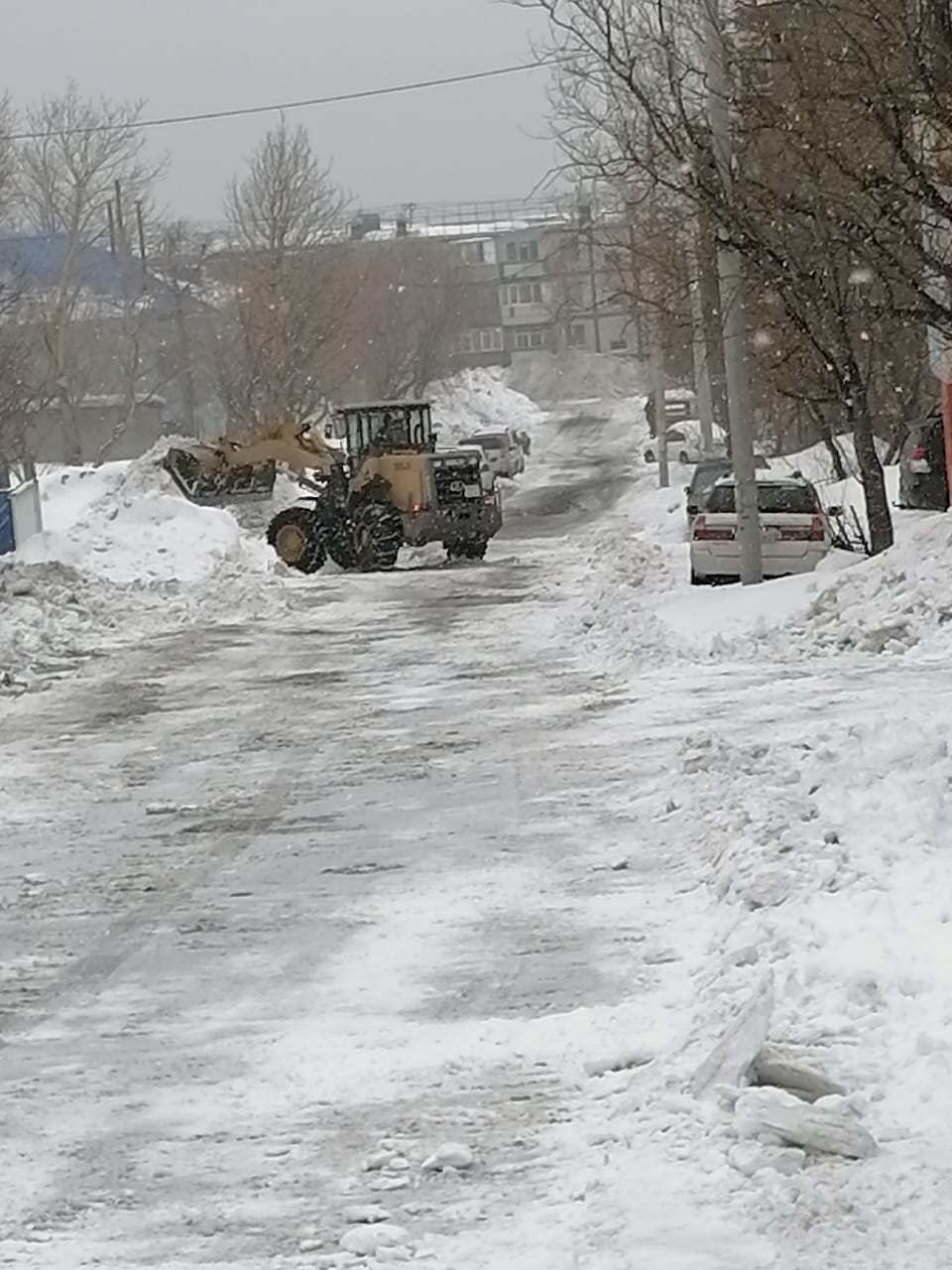20 февраля 2021 20 февраля 2021