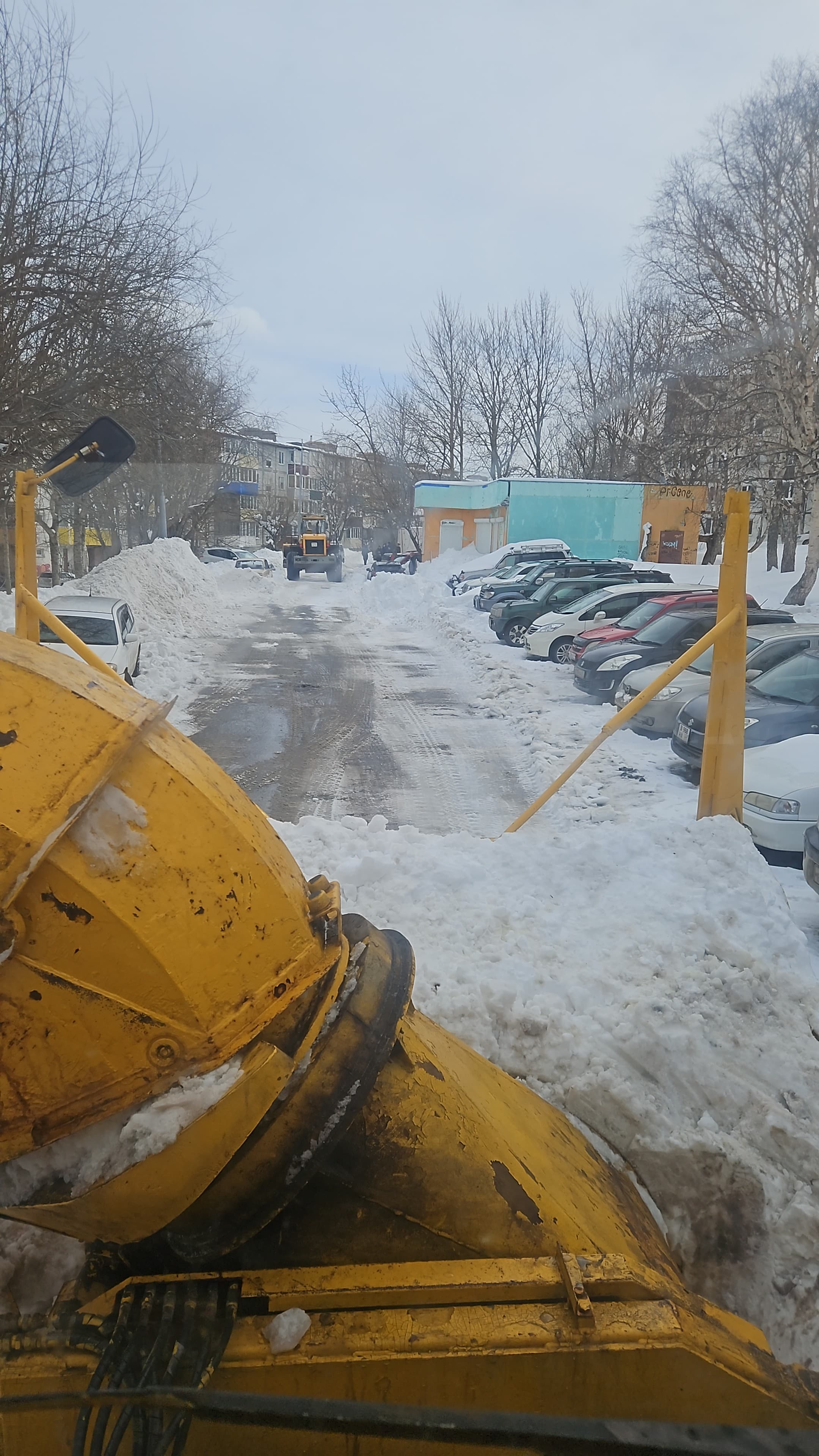 26 марта 2025 года 