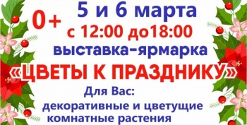 Выставка «Цветы к празднику» готовится в краевой столице