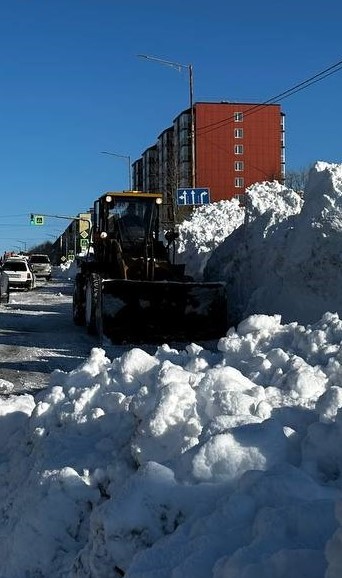 25 марта 2025 года