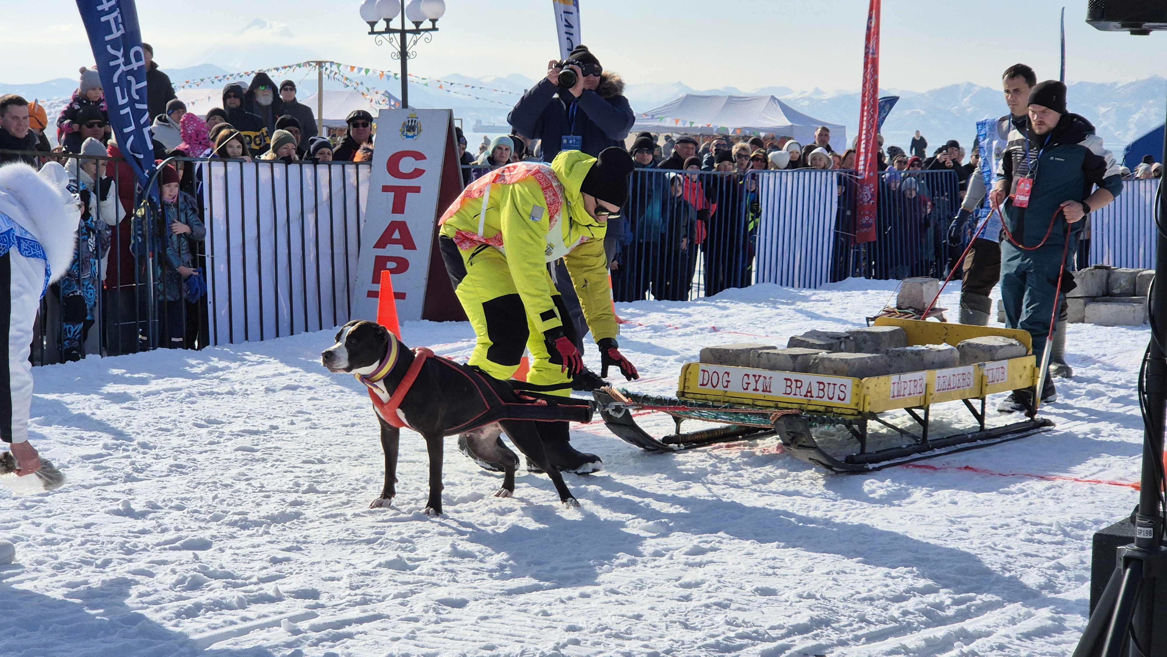 Глава города Евгений Беляев: Ярко, динамично, с характером – так можно сказать о праздничном Дне защитника Отечества и фестивале «Снежный путь – на драйве города!» Глава города Евгений Беляев: Ярко, динамично, с характером – так можно сказать о праздничном Дне защитника Отечества и фестивале «Снежный путь – на драйве города!»