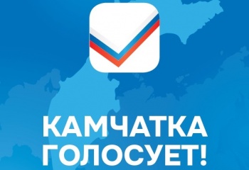 34,63% составила явка избирателей на выборах Президента РФ к 15 часам
