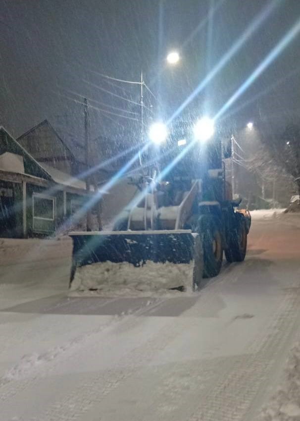 19 ноября 2025 года