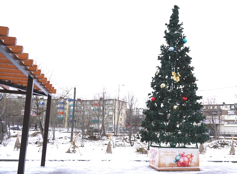 В микрорайонах Петропавловска-Камчатского устанавливают новогодние елки В микрорайонах Петропавловска-Камчатского устанавливают новогодние елки