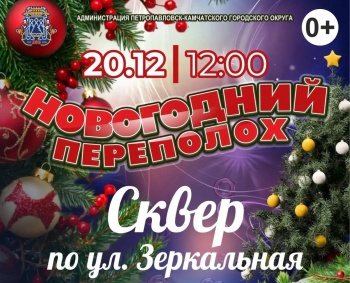 В Петропавловске‑Камчатском продолжается открытие новогодних ёлок