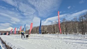 Соревнования по ездовому спорту в рамках фестиваля «Снежный путь»
