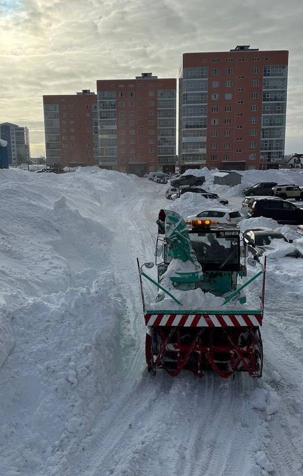 29 января 2026 года