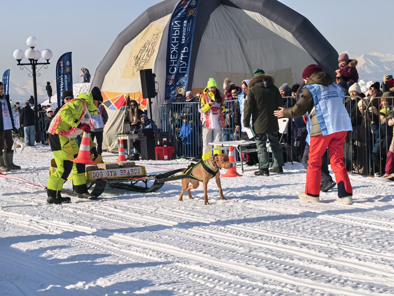 Глава города Евгений Беляев: Ярко, динамично, с характером – так можно сказать о праздничном Дне защитника Отечества и фестивале «Снежный путь – на драйве города!» Глава города Евгений Беляев: Ярко, динамично, с характером – так можно сказать о праздничном Дне защитника Отечества и фестивале «Снежный путь – на драйве города!»