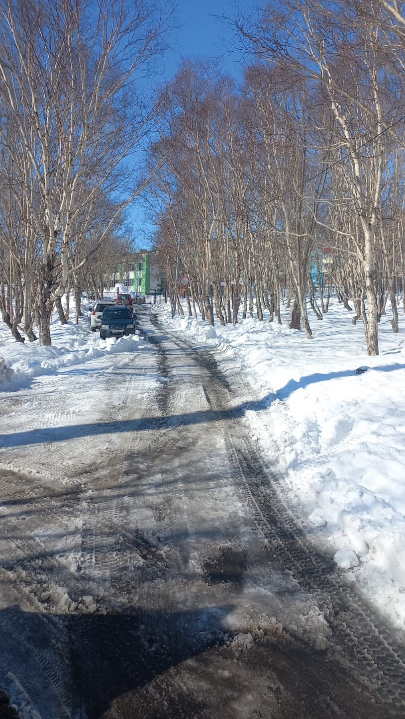 31 марта 2025 года