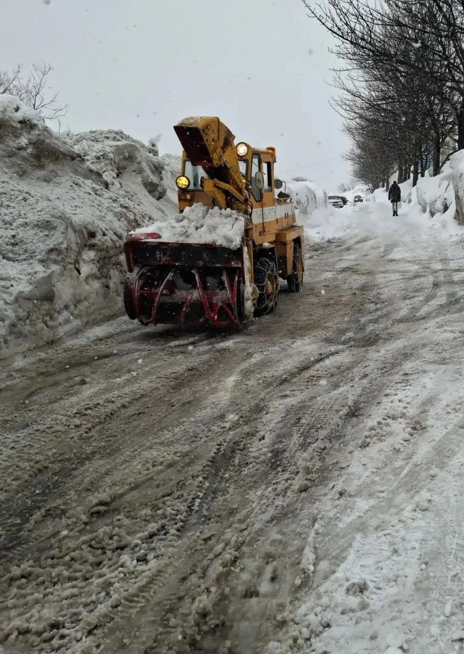 16 марта 2026 года