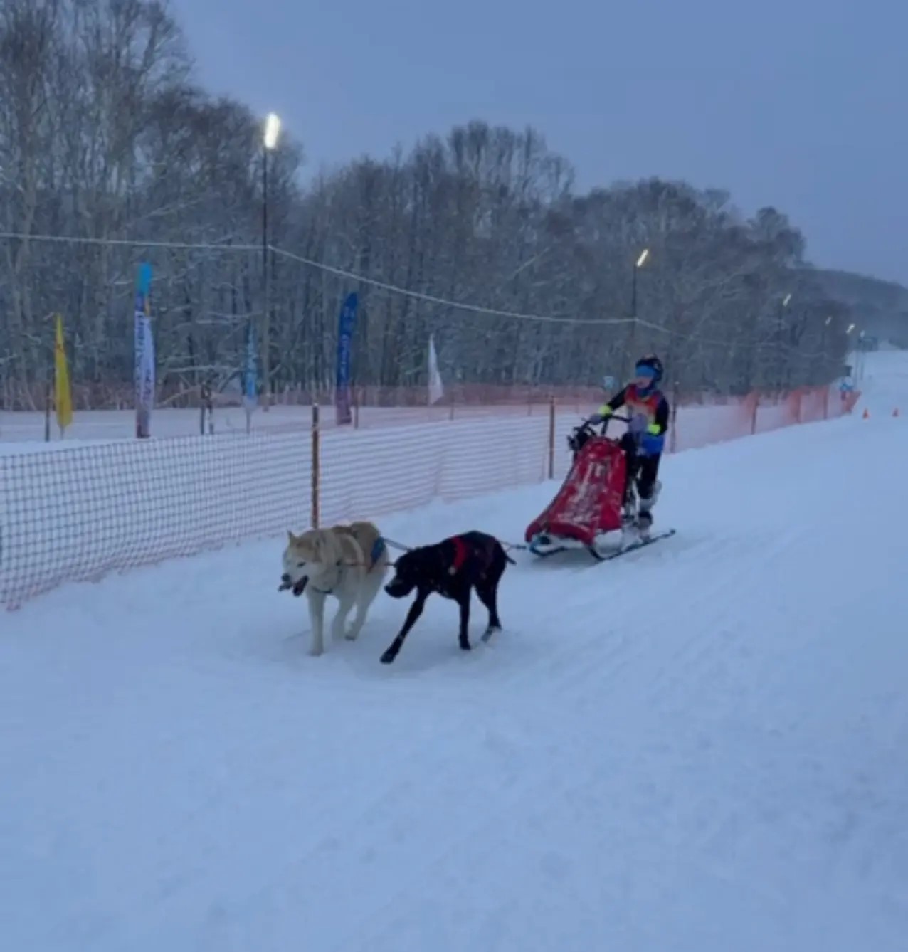 Соревнования по ездовому спорту в рамках фестиваля «Снежный путь» Соревнования по ездовому спорту в рамках фестиваля «Снежный путь»