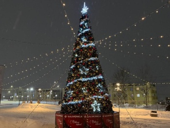 Новогодние ёлки зажгли огни в разных микрорайонах города
