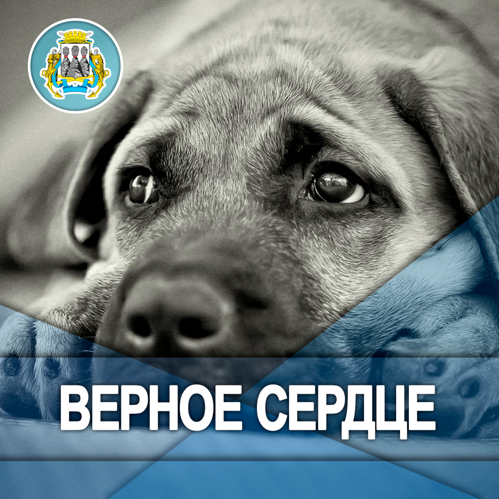 Верное сердце.png Верное сердце.png